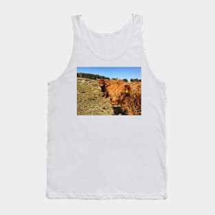 Scottish Highland Cattle Calf 1979 Tank Top